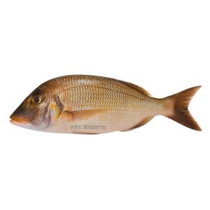 Fresh Emperor Mulla Fish – Whole or Cleaned – Online Seafood Delivery in Karachi & Lahore – Wholesome Seafood