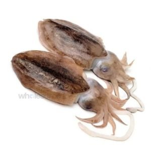 Fresh Cuttlefish Cuttle Whole and Cleaned – Online Delivery in Karachi, Lahore, Other Cities – Wholesome Seafood