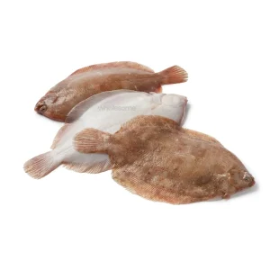 Buy Fresh Flounder (Sole) Online – Sole Fish – Wholesome Seafood Pakistan