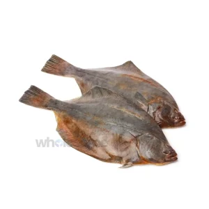 Buy Fresh Indian Halibut (Hajjam) Online – Hajjam Fish – Wholesome Seafood Pakistan