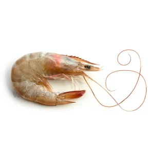 Fresh Jumbo Prawns Whole and Cleaned - Online Delivery in Karachi, Lahore, Other Cities - Wholesome Seafood