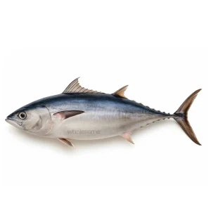 Fresh Longtail Tuna Dhawan – Soft White Tuna Meat – Online Delivery in Karachi, Lahore & Across Pakistan – Wholesome Seafood