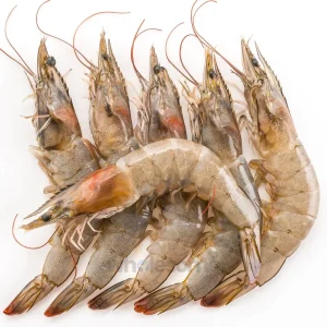Fresh Medium Prawns Whole and Cleaned - Online Delivery in Karachi, Lahore, Other Cities - Wholesome Seafood