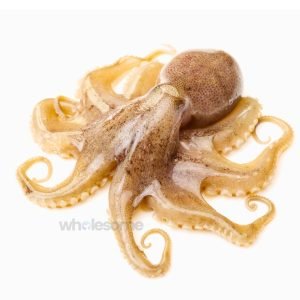 Fresh Octopus Whole and Cleaned – Online Delivery in Karachi, Lahore, Other Cities – Wholesome Seafood