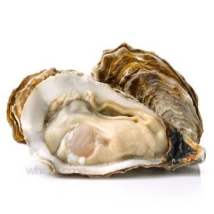 Fresh Whole Oysters in Shell – Online Delivery in Karachi, Lahore, Other Cities – Wholesome Seafood