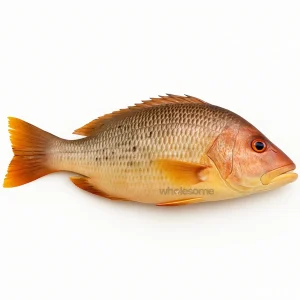 Buy Fresh Red Snapper (Heera) Online – Heera Fish – Wholesome Seafood Pakistan