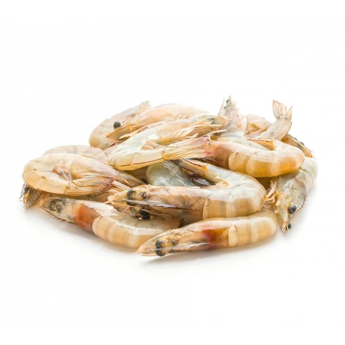 Fresh Small Prawns Whole and Cleaned - Online Delivery in Karachi, Lahore, Other Cities - Wholesome Seafood