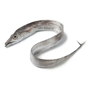 Fresh Ribbonfish Chind – Also Known as Hairtail or Belt Fish – Online Delivery Pakistan – Wholesome Seafood
